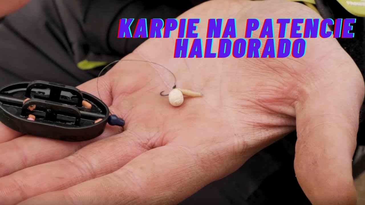 Pierwsze Karpie 2021 I Haldorado I