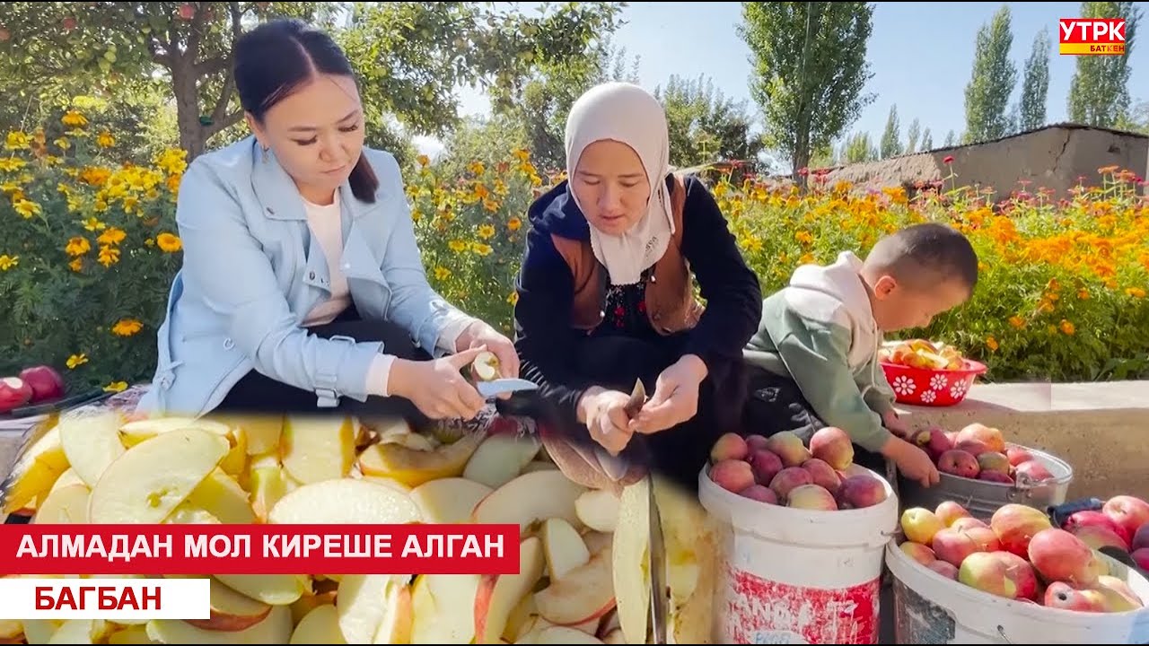 АЛМАДАН МОЛ КИРЕШЕ АЛГАН БАГБАН