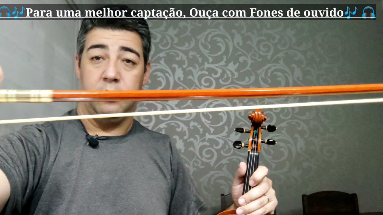 Diferenças de arcos de violino 🎻