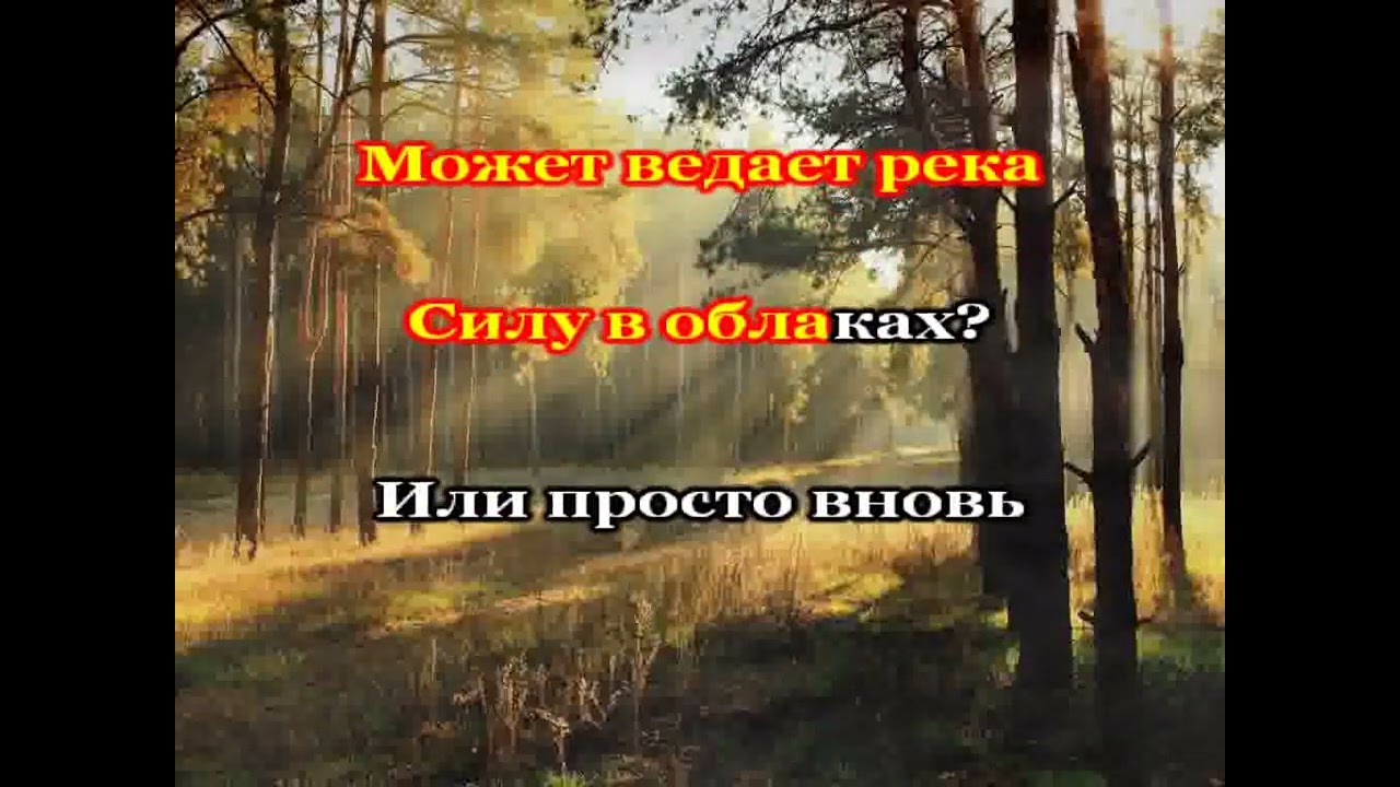 МОЖЕТ ЗНАЕТ ЛЕС