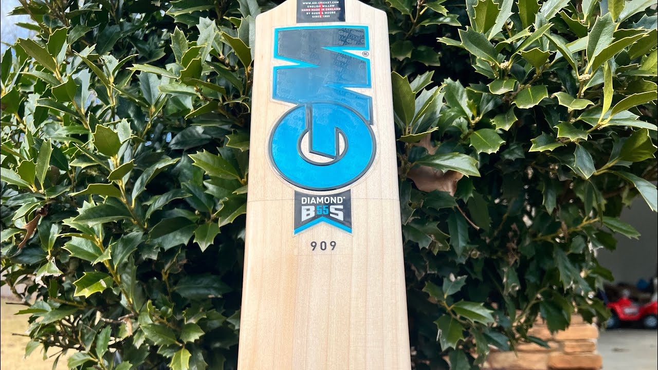 2022 GM Diamond 909 Cricket Bat Review