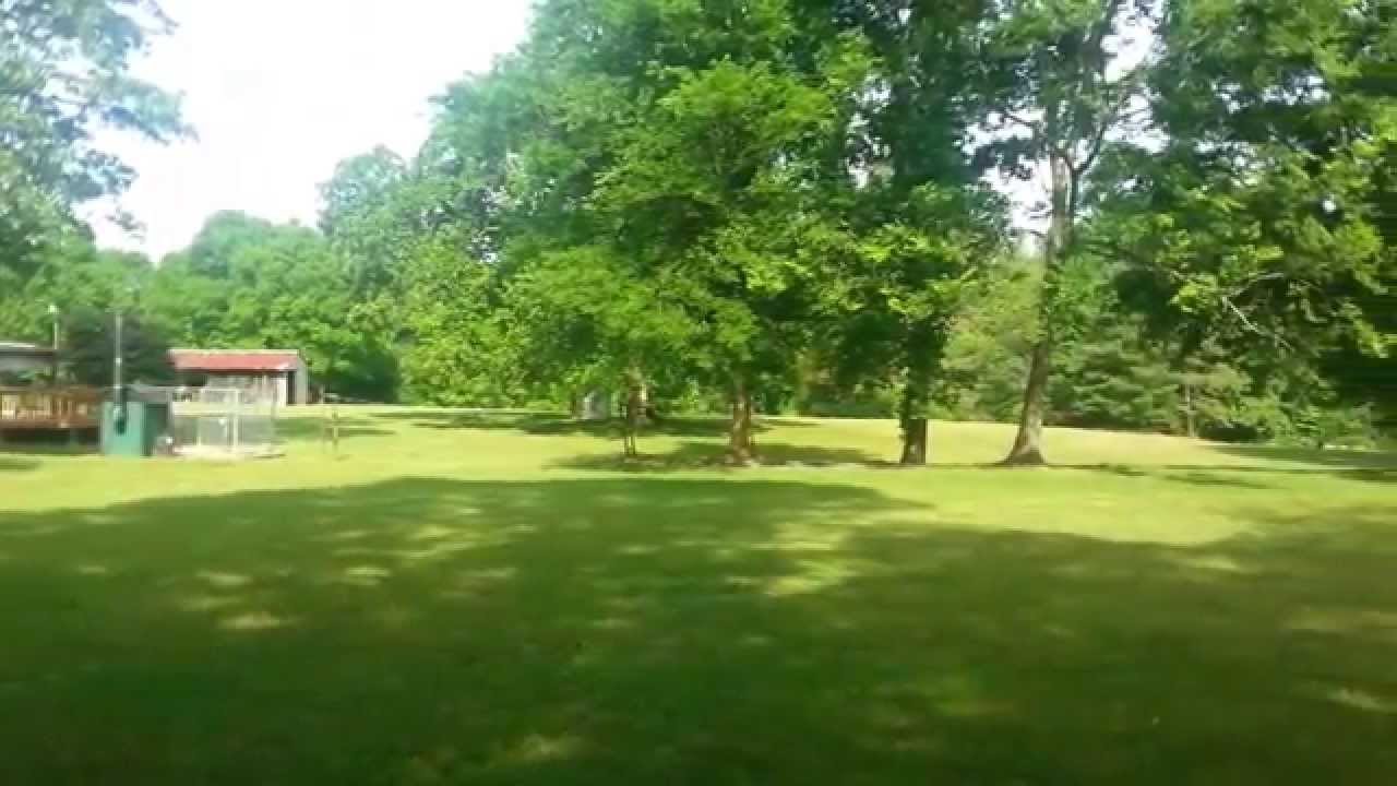 1168 Hwy. 230  Nunnelly,  TN. 37137