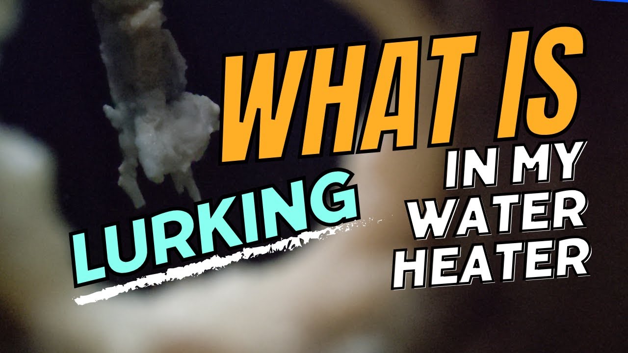 Don't Make the Same Mistake I Did - The #1 Thing You Need to Do for Your Water Heater Today!