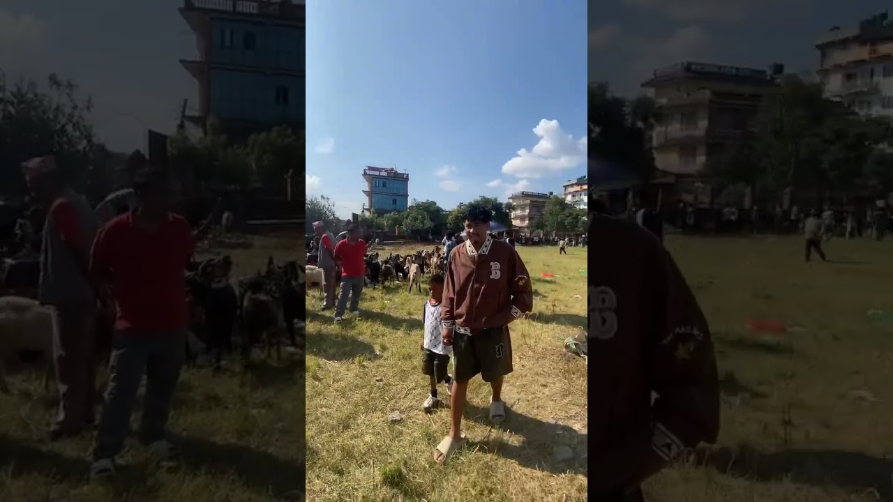 Khasi bajar bhaktapur dashain vibes #festival #culture #fun #youtubeshorts ❤️