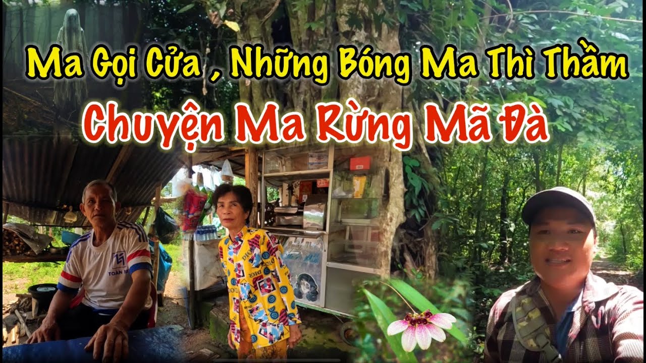 Chuyện về những bóng ma ở rừng Mã Đà, khu rừng nguyên sinh nhiều bí ẩn ở Đồng Nai.