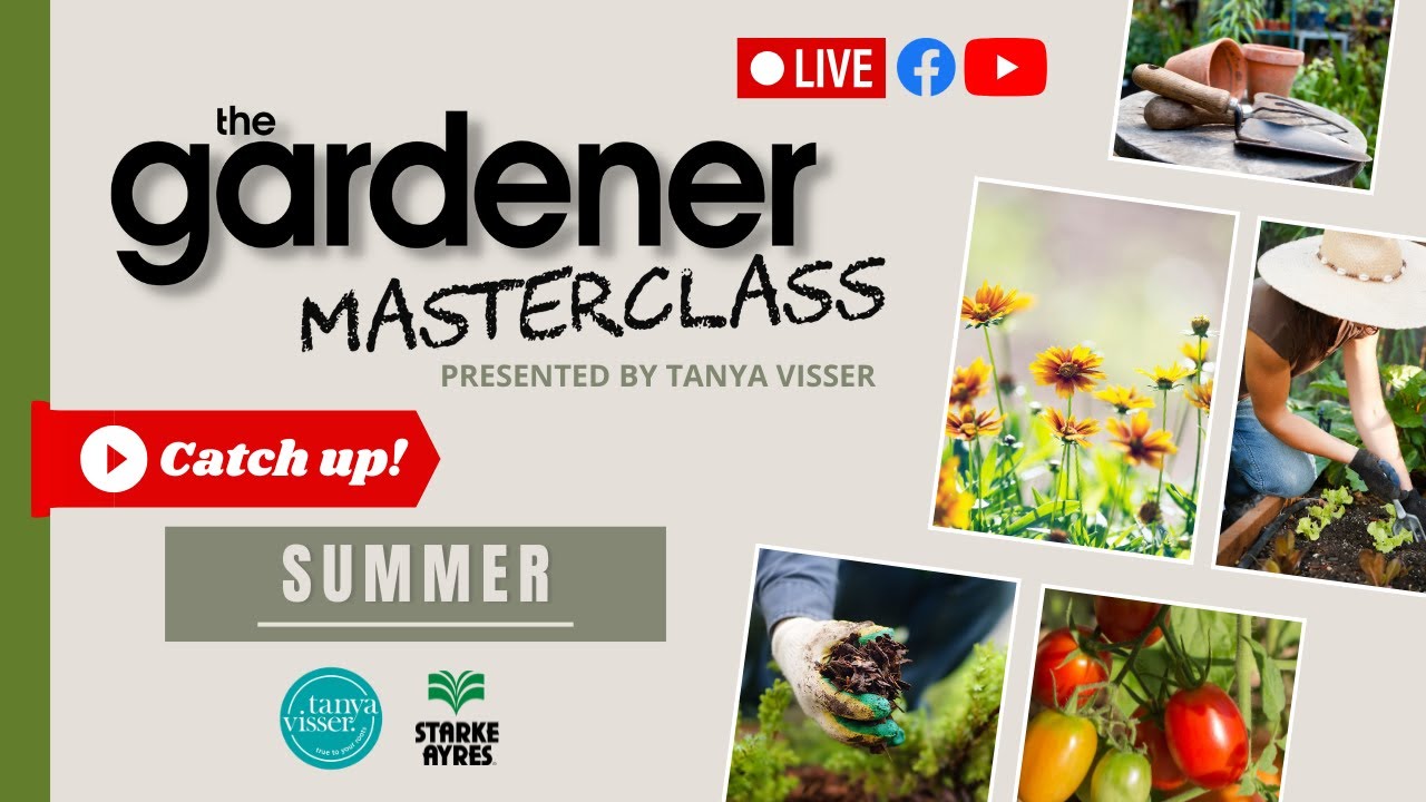 Summer Masterclass | LIVE with Tanya Visser