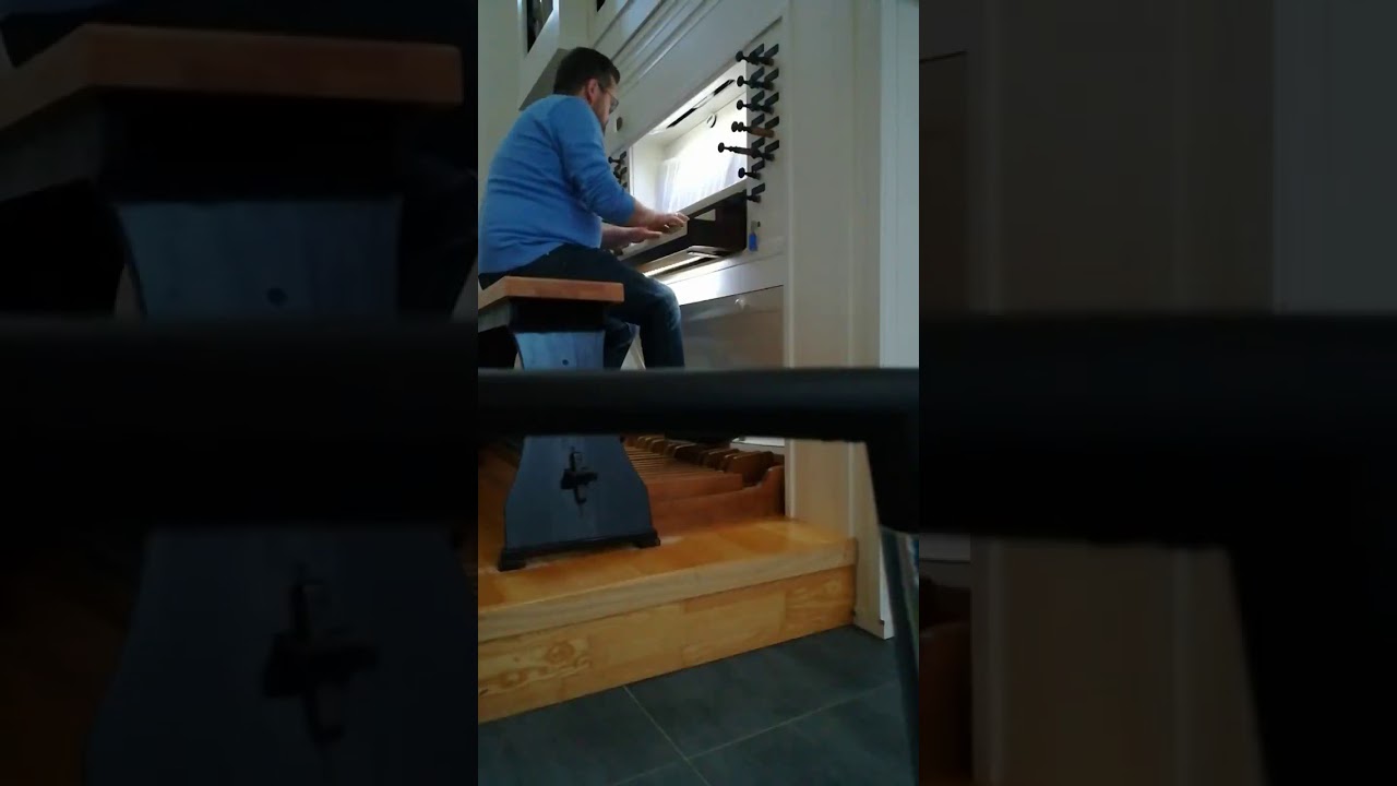 Kommt, ihr Töchter, helft mir klagen. J.S. Bach