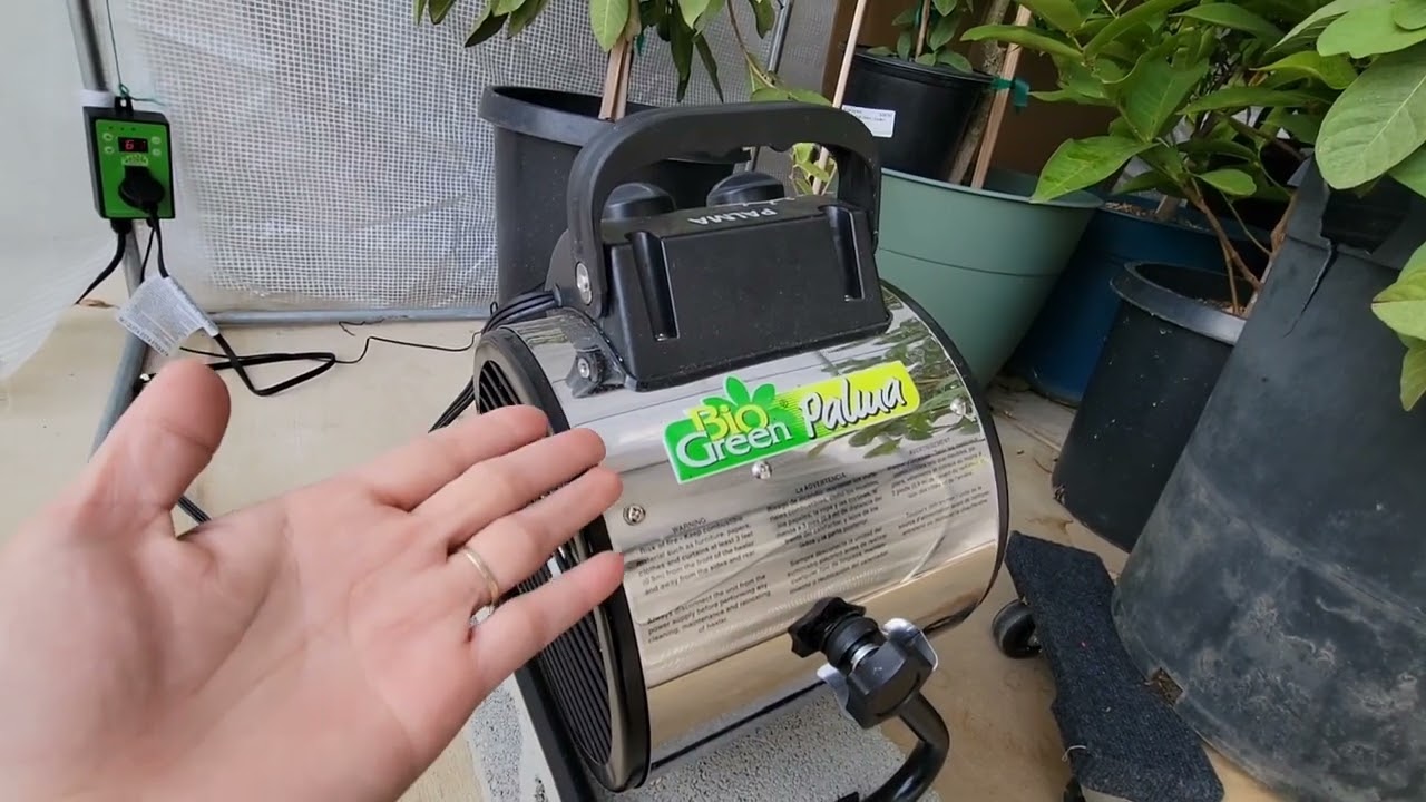 Chia sẽ dùng loại máy heat và greenhouse cho cây vào mùa đông