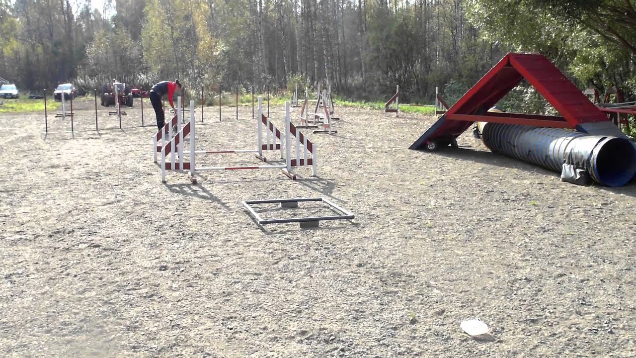 Agility a-frame running contact ground work