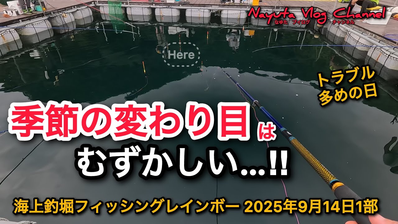 【海上釣堀】フィッシングレインボー 2025年9月14日1部貸切釣行