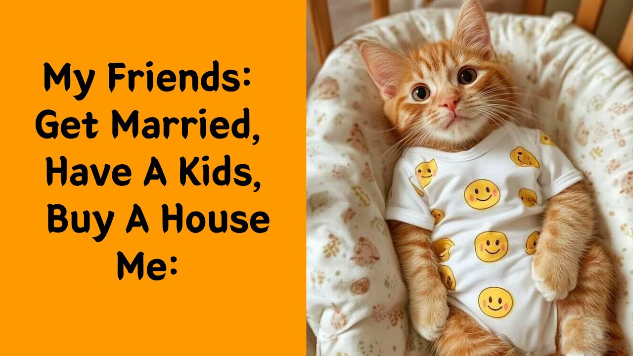 50 Hilarious Cat Memes That Capture Feline Attitude Perfectly - Cute cat