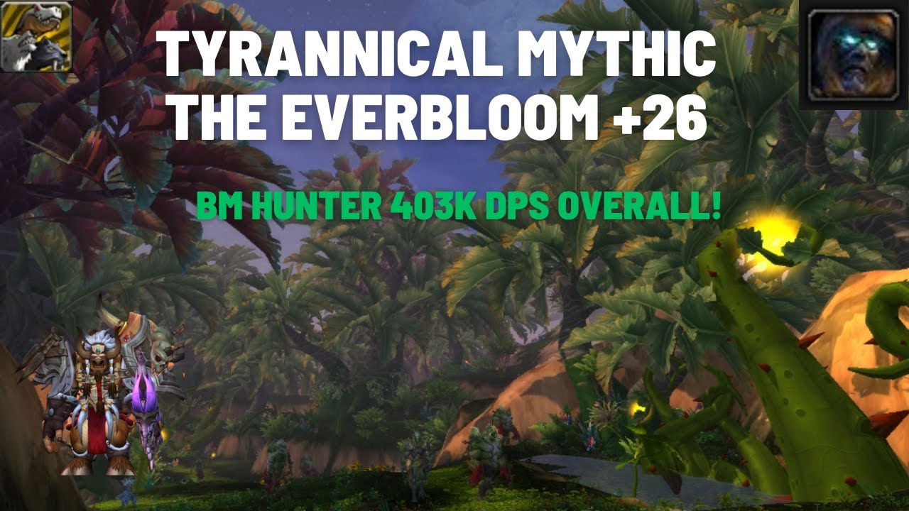BM Hunter 403k DPS Overall Mythic Tyrannical Everbloom 26+ #WorldofWarcraft #Dragonflight 10.2.5