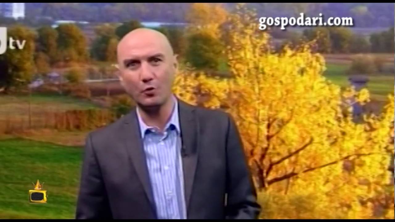 Емо Чолаков и циганизацията на прогнозата за времето