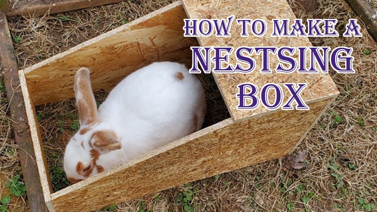 Making Rabbit Nesting Boxes