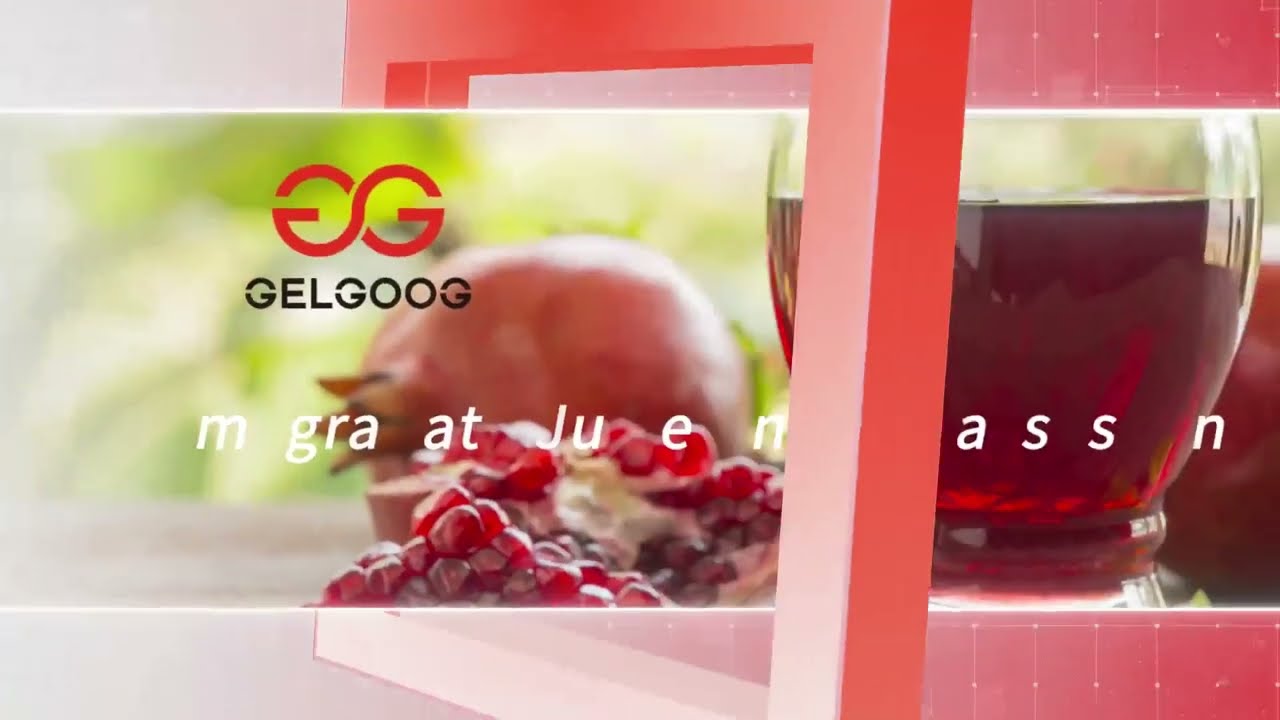 Pomegranate Juice Processing Plant