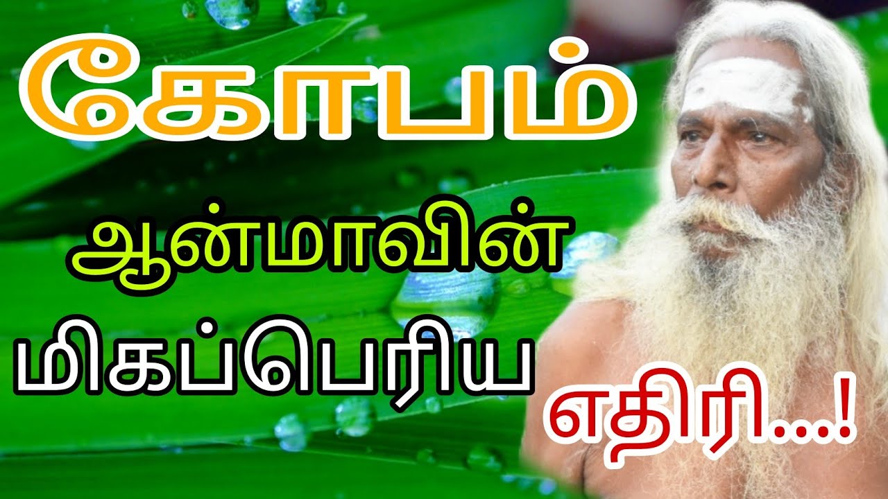 நீ உன் கோபம் ஆன்மாவின் மிகப்பெரிய எதிரி..!appar tv