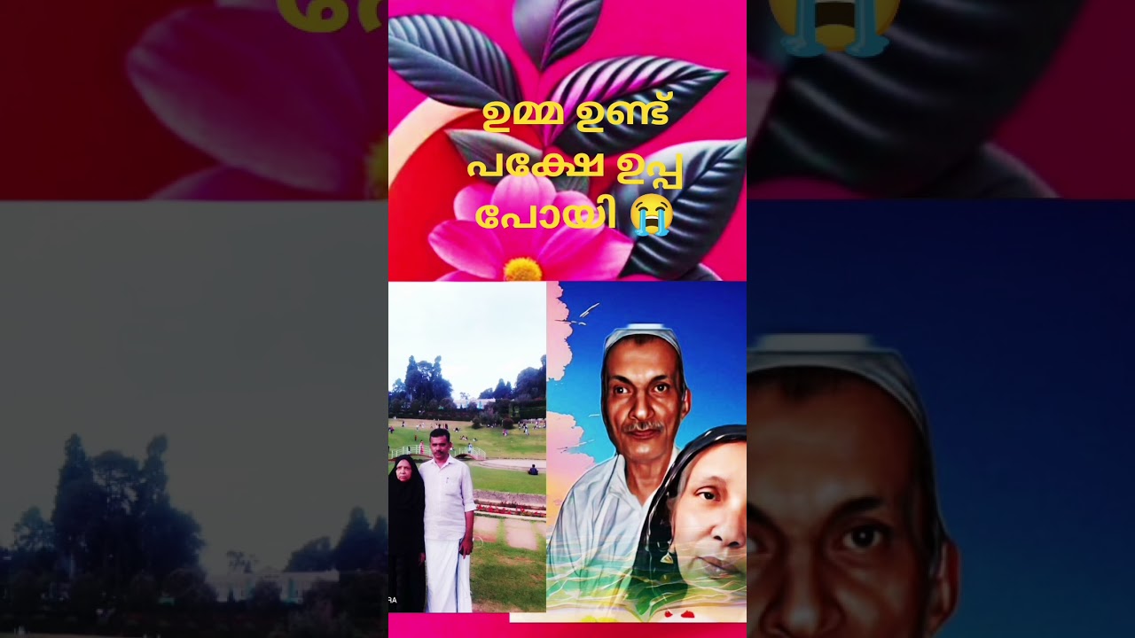 ആരോരാൾപാടുന്ന.  #shafikollam #love #mappilapattukal #shanadapuramsongs #shortsyoutube