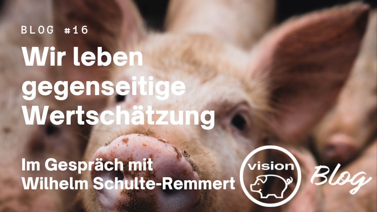 Blog 16: Über Sauen und Wertschätzung