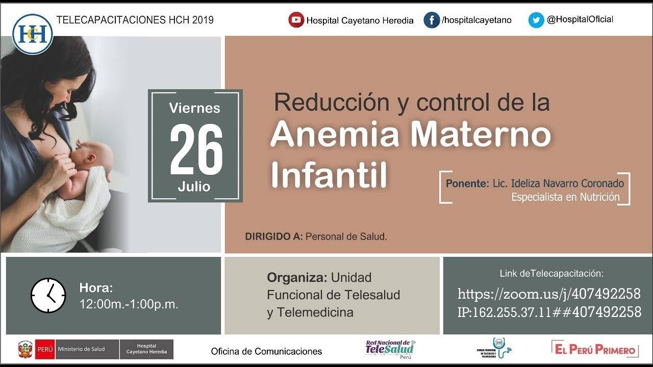 REDUCCIÓN Y CONTROL DE LA ANEMIA MATERNO INFANTIL