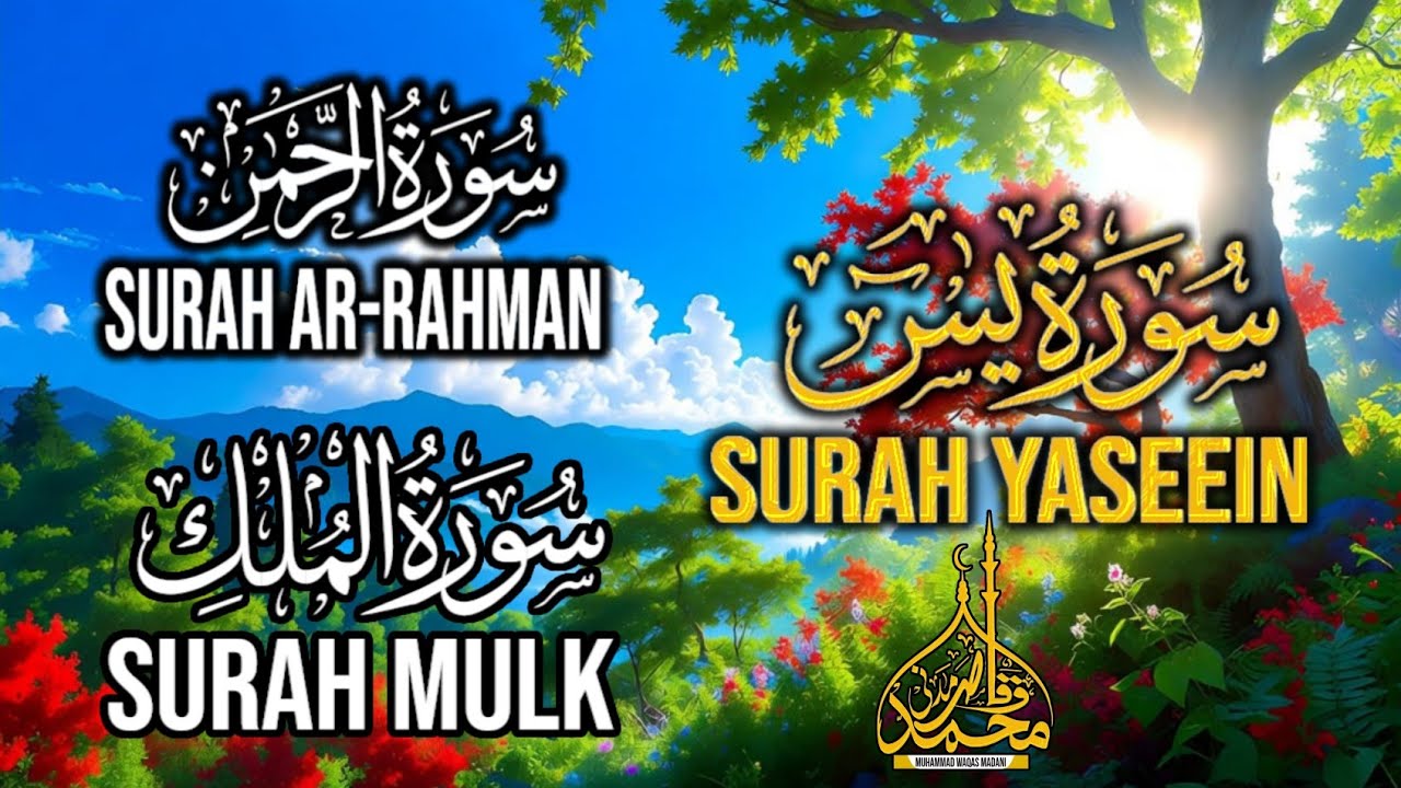     سورة يس Surah Yaseen Surah Ar-Rahman سورة الرحمن Surah Mulk سورۃ ملک Muhammad Waqas Madami TV.