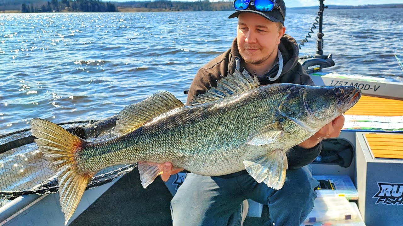 SUURIEN KALOJEN PÄIVÄ | KEVÄISTÄ SEKA KALASTUSTA | ISO HAUKI | ISO KUHA | ISO TOUTAIN | AHVEN