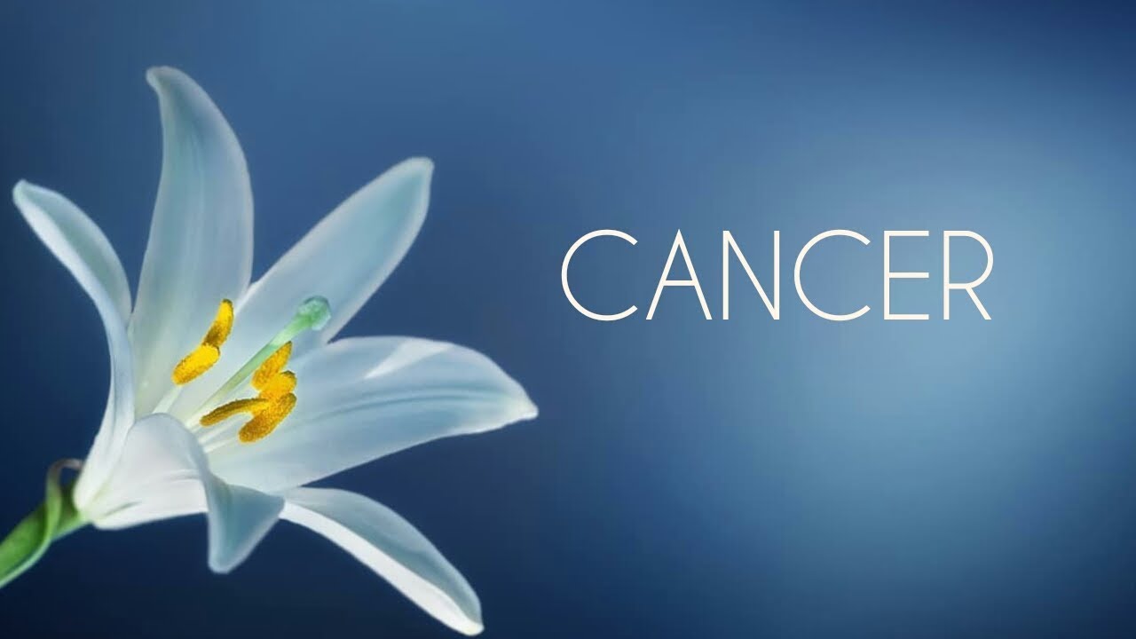 CANCER ♋ 