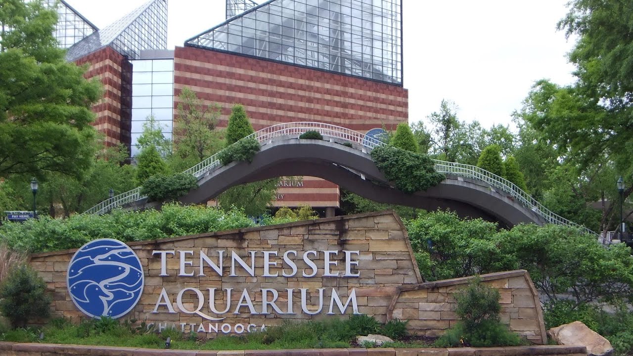 TENNESSEE AQUARIUM Chattanooga, Tennessee