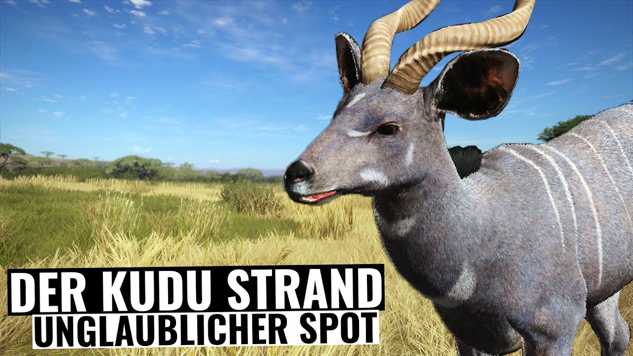 Der Kudu Strand, unglaublicher Spot! || theHunter Call of the Wild