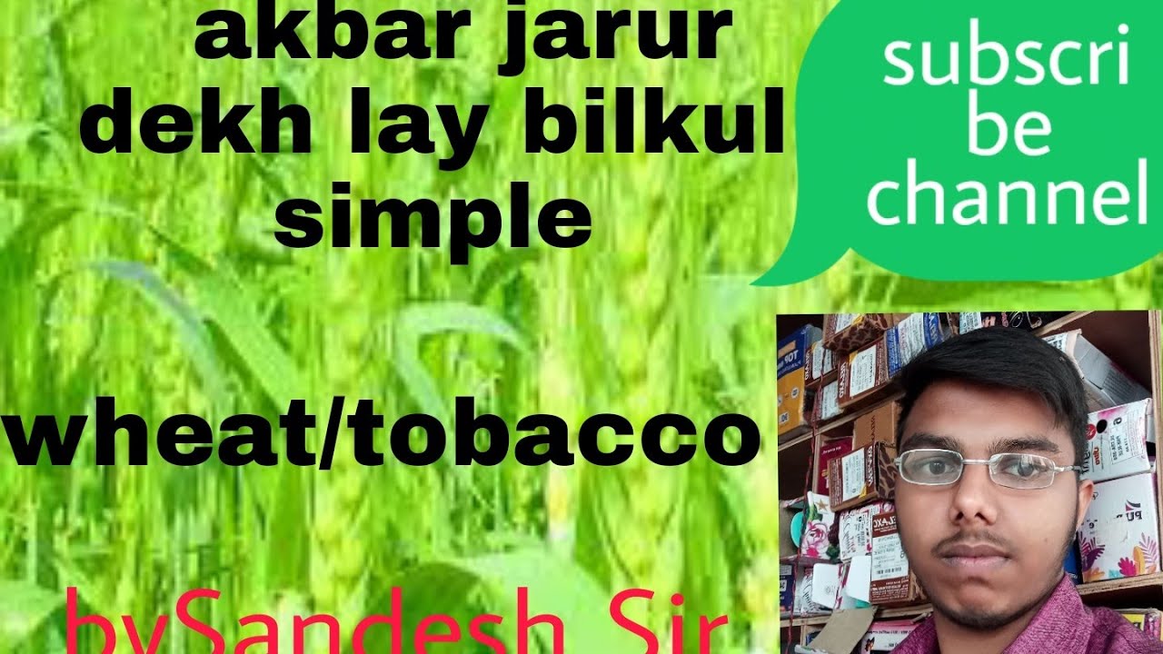Evolution of Hexaploid wheat l Triticum Aestivum l evolution of tobacco plant Breeding #bsc. Msc ag