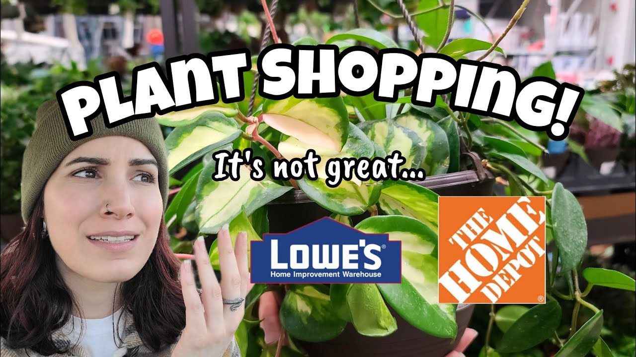 Big Box Plant Shopping!! 🌿 Home Depot, Lowe's & Walmart (kinda) in Southington CT 🐍✨️+ coppertist.wu