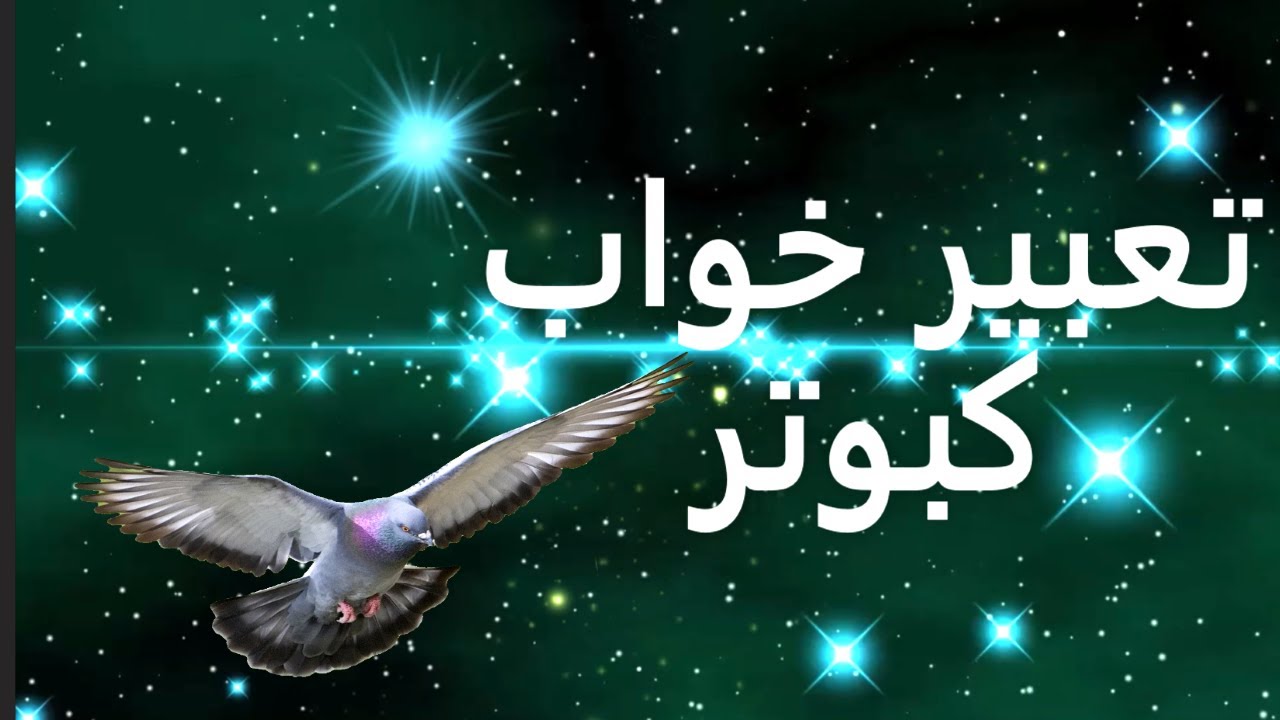 تعبیر خواب کبوتر سفید | تعبیر کبوتر در خواب | تعبیر خواب دیدن کبوتر | تعبیر خواب گرفتن کبوتر در خانه