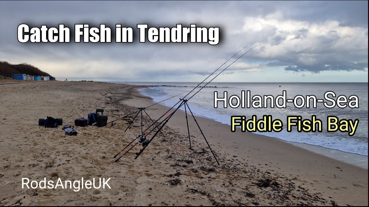 Catch Fish in Tendring: HOLLAND-ON-SEA - Fiddle Fish Bay
