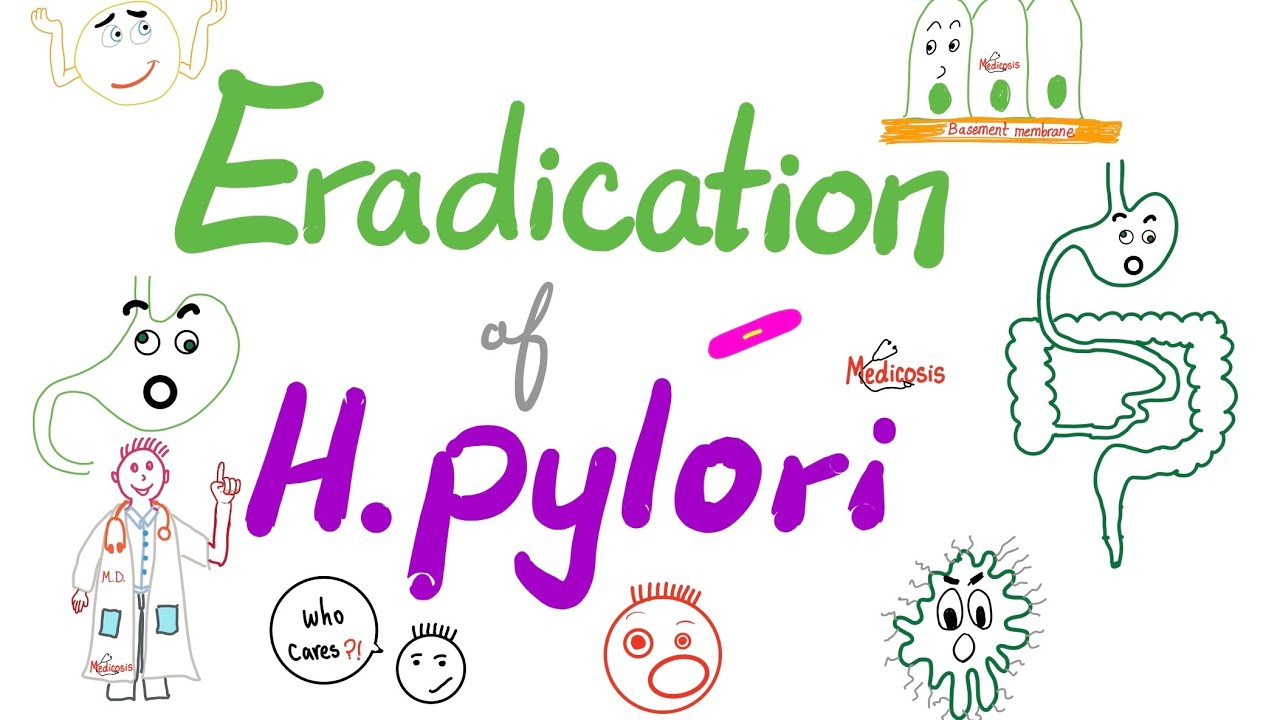 Уничтожение бактерий Helicobacter Pylori 🦠 | Тройная схема и четверная схема
