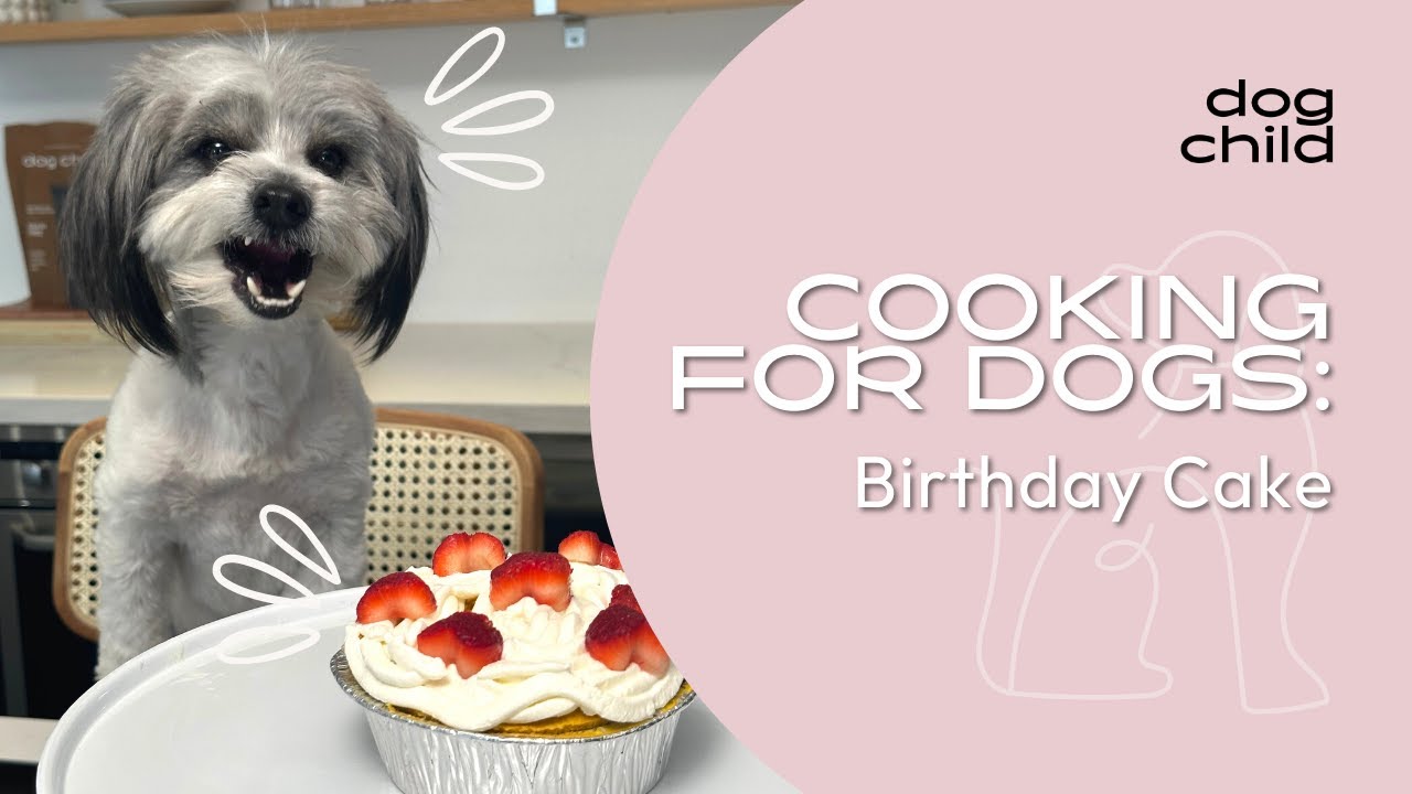 Homemade Dog Food Recipe | Birthday Cake for Dogs