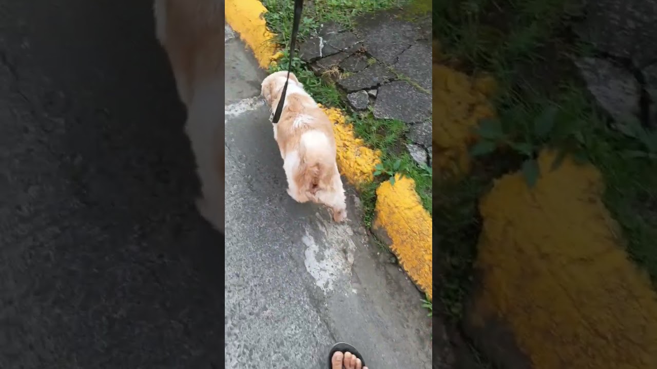 # in the walking dito sa village namin😜🤣🤪😁😀😄