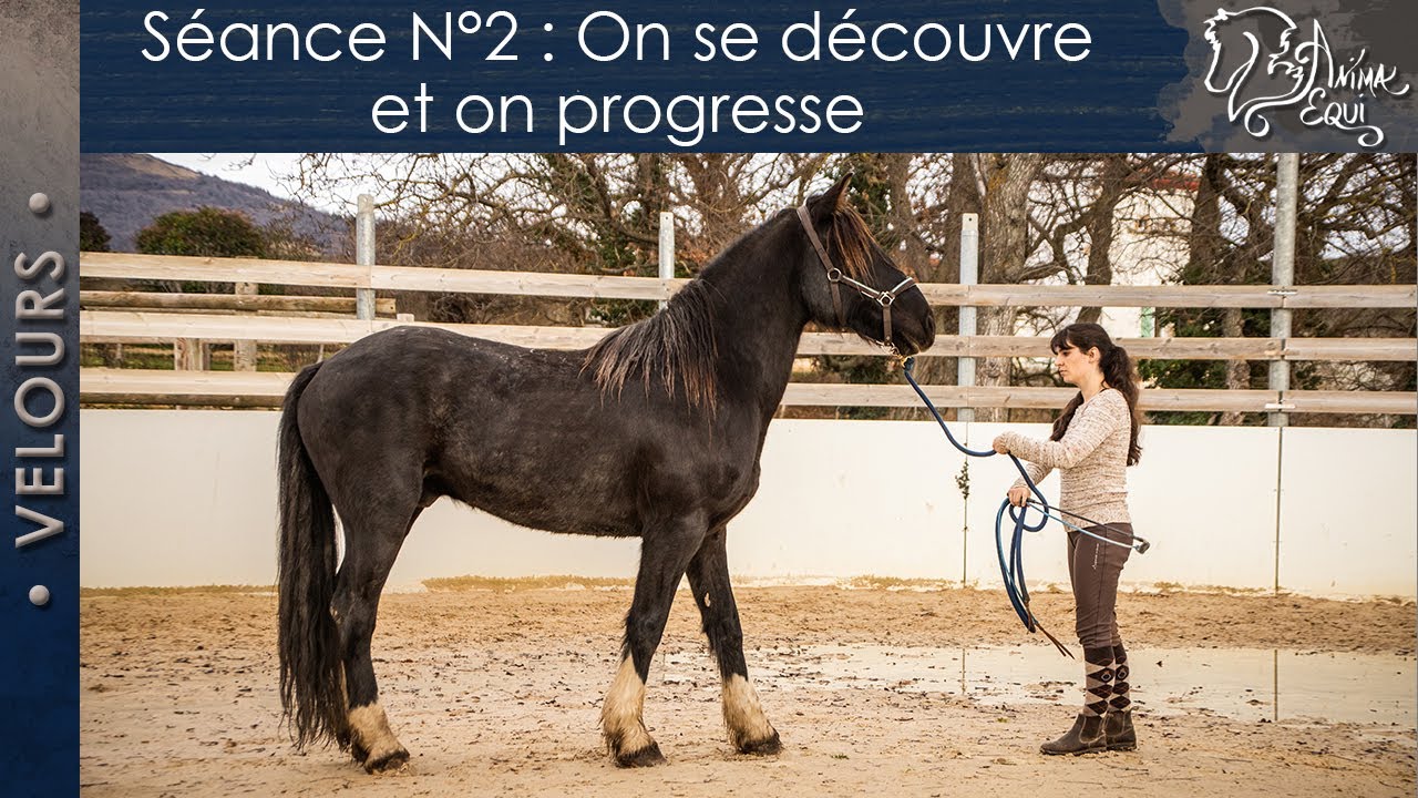 • VELOURS • Séance N°2 : On se découvre et on progresse