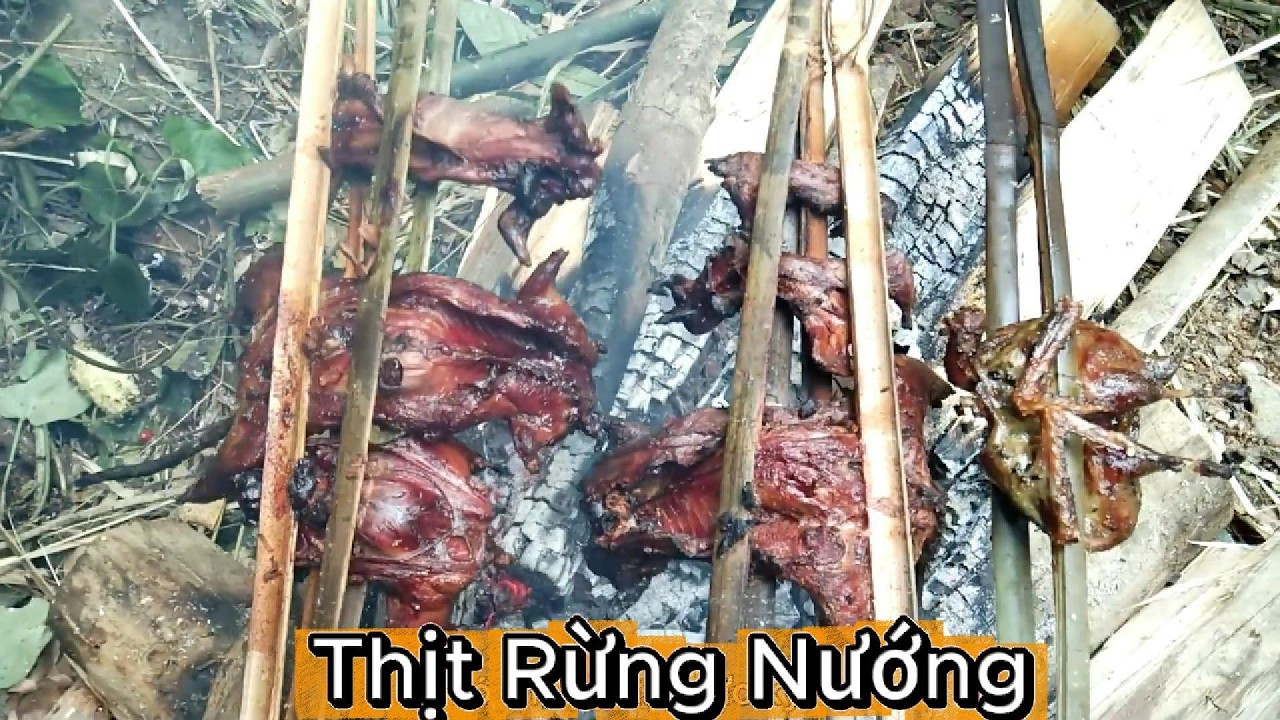 Sinh Tồn Trong Rừng: Tìm Thức Ăn Hoang Dã Và Chế Biến Món Nướng Cực Ngon