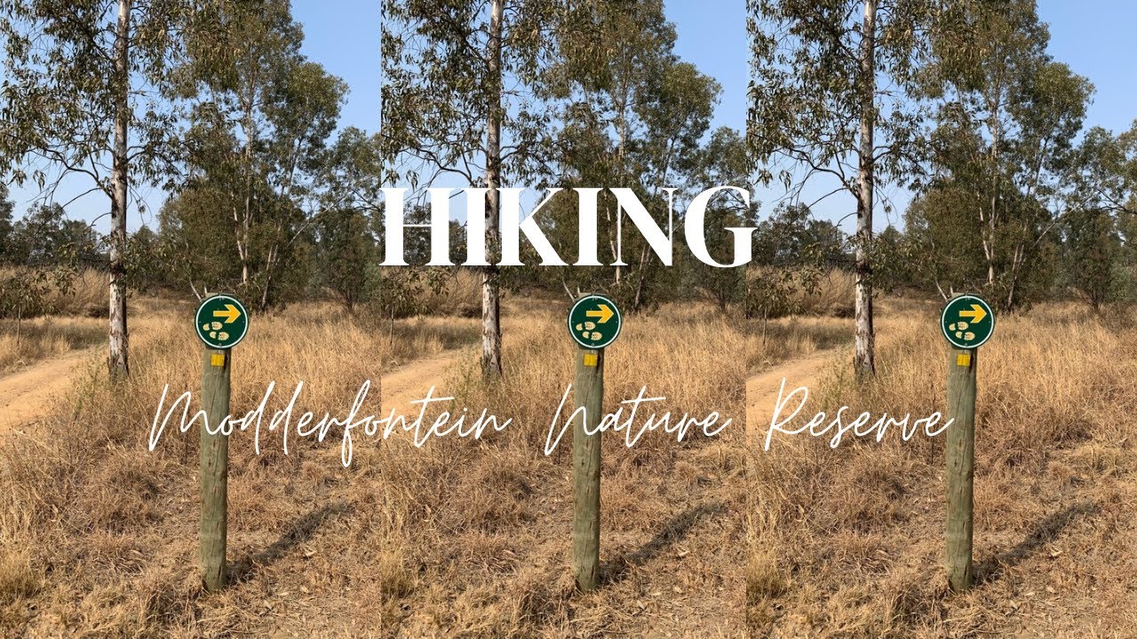 Hiking | Modderfontein Nature Reserve | 11km hike | Hiking in Gauteng Province | Outdoor activities