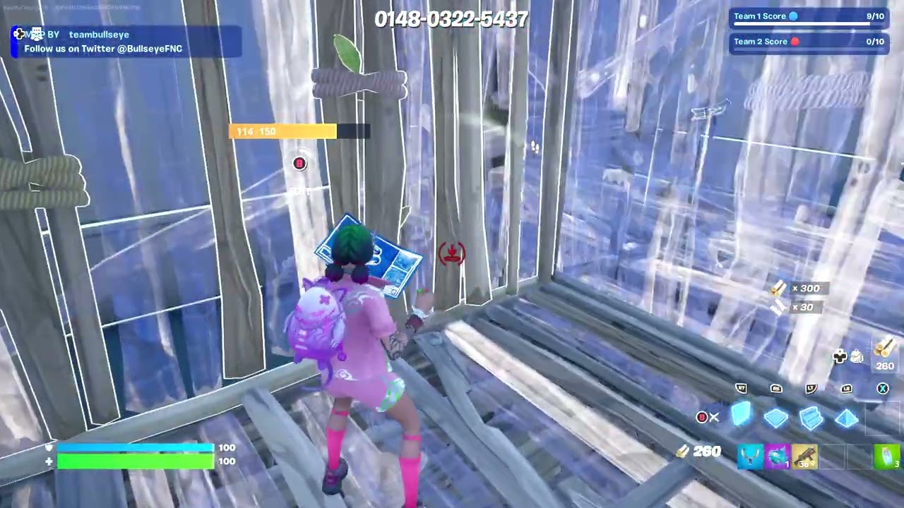 GamerCat here Playing fortnite