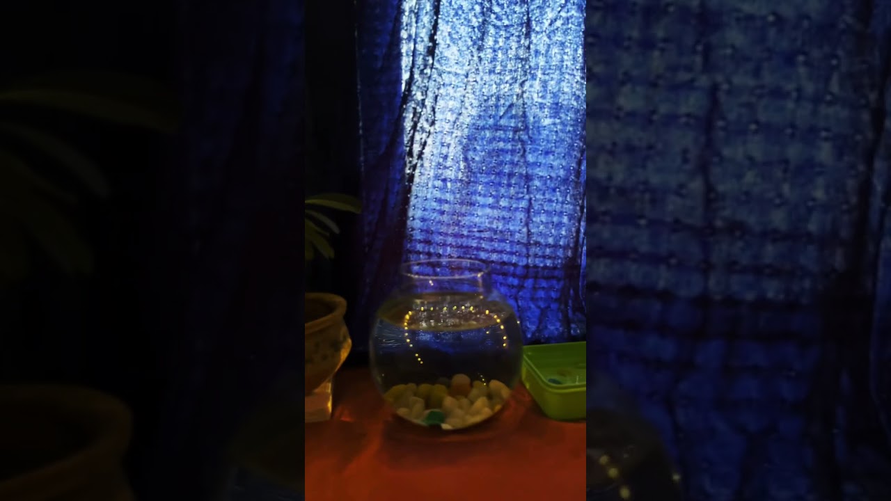 My Engineering hostel room at ABV-IIITM Gwalior, India