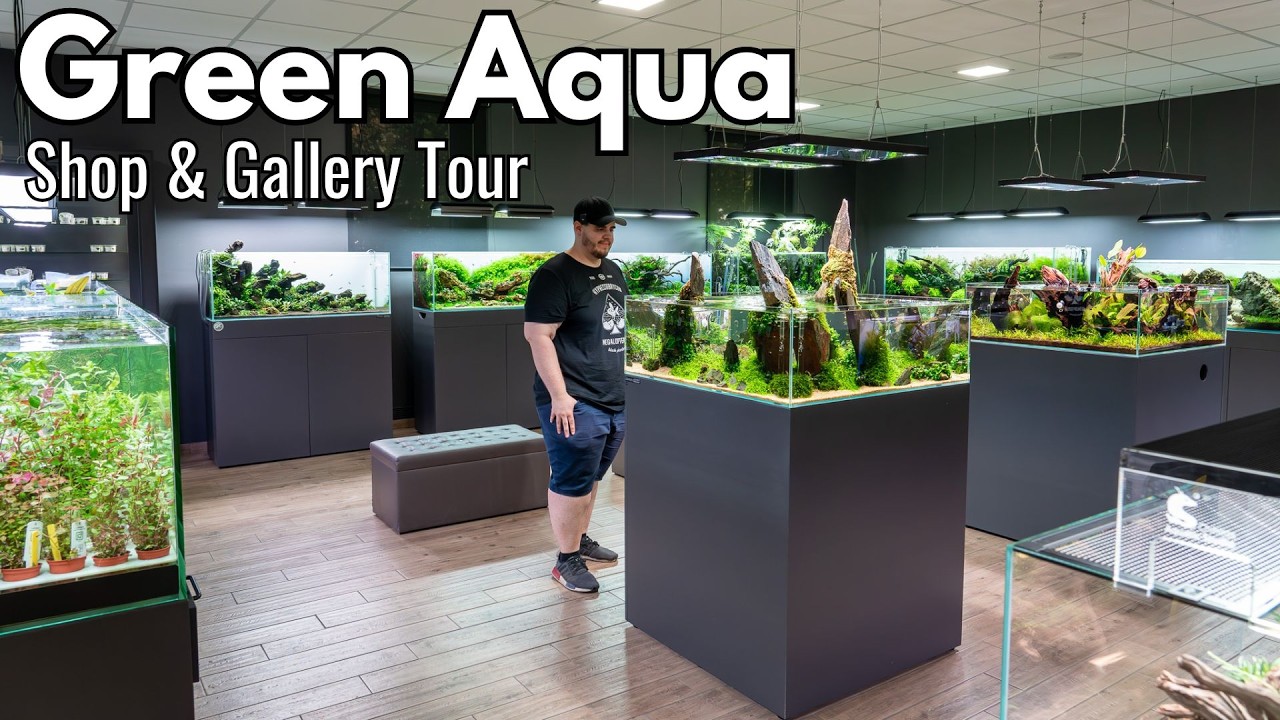 Der BEKANNTESTE Aquascaping Shop der Welt! - GREEN AQUA (Komplette Tour)