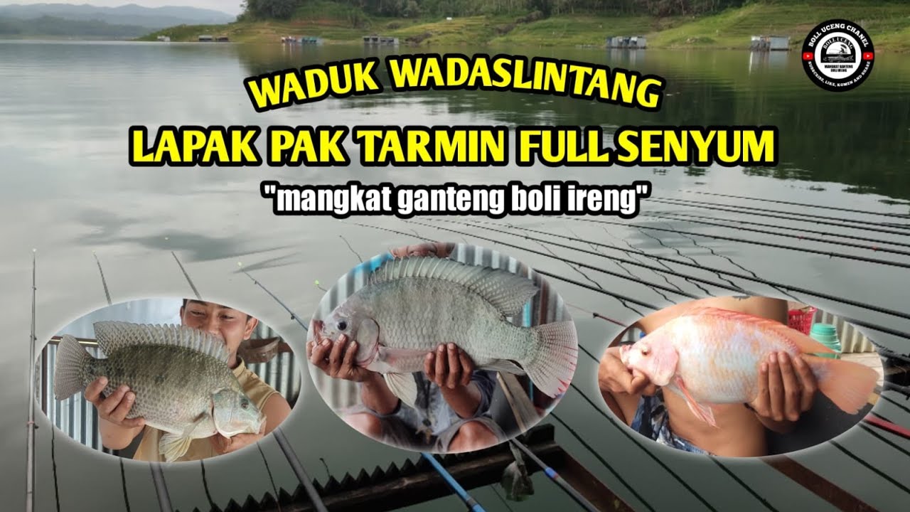 MANCING DI WADUK WADASLINTANG || FULL STRIKE