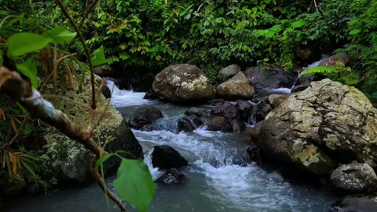 WARNING: This Jungle Water Sound Will Knock You Out 😴💧 | Nature ASMR