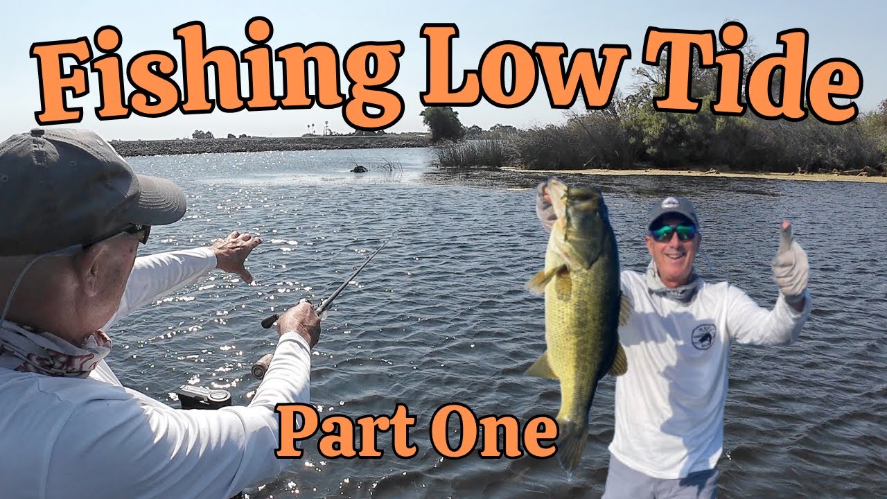 A Guide to Fishing Low Tide On The California Delta.