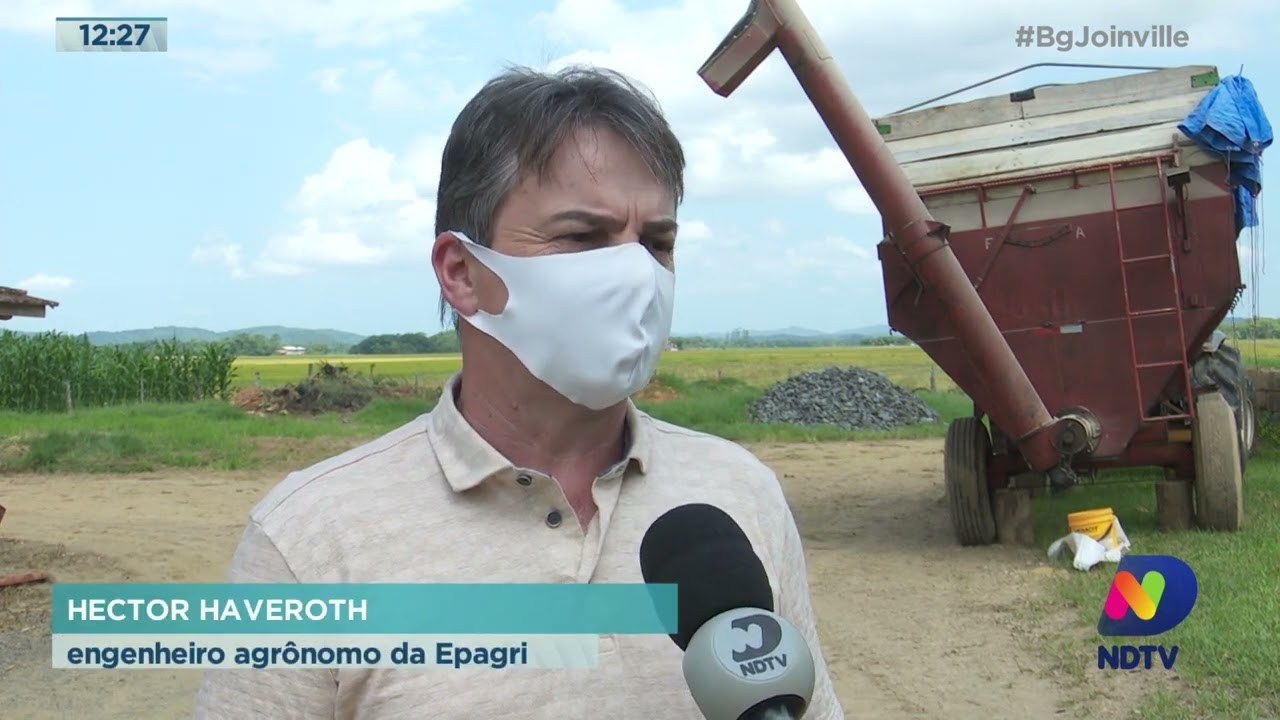 Colheita do arroz: Rizicultores do norte de SC reclamam da alta dos pre&ccedil;os de insumos