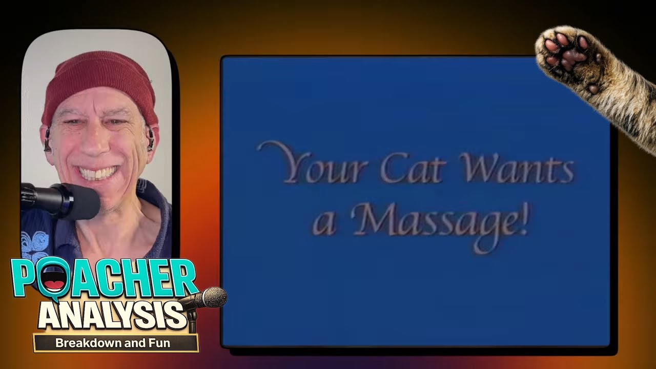 The Gentle Art Of CAT Massage 🐈