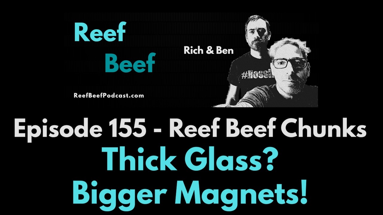 Толстое стекло? Магниты побольше! - Кусочки рифовой говядины