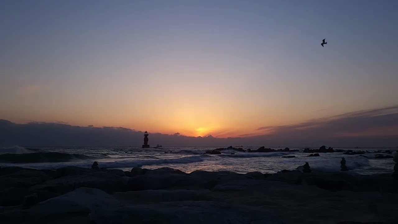 26.01.30 #동해 #묵호 #어달해변 #바다멍 #일출맛집 