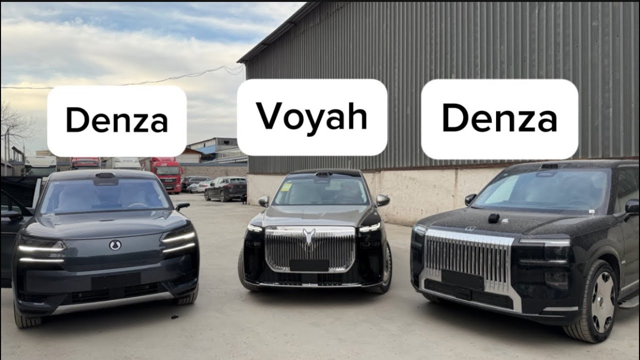 ZEEKR 9X / DENZA N9 / VOYAH TAISHAN 2025 ENG ZOR LUX MOSHINALAR