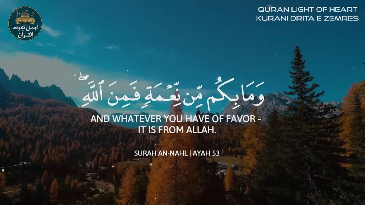 تلاوة قرآنية تقشعر لها الأبدان❤️هدوء وراحة وسكينة😌أرح سمعك🎧مع اجمل قارئ❤️عبد الرحمن مسعد
